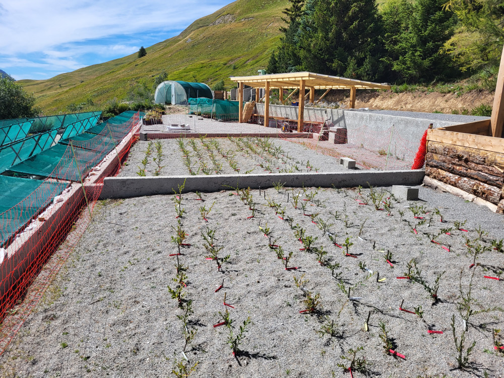 Des Solutions fondées sur la Nature
